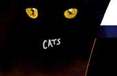 Logo von Cats